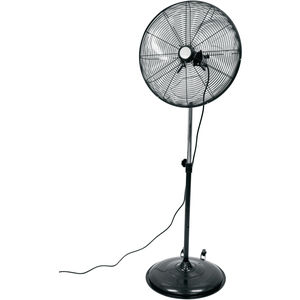 Pedestal Fan