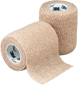 Wound Dressings
