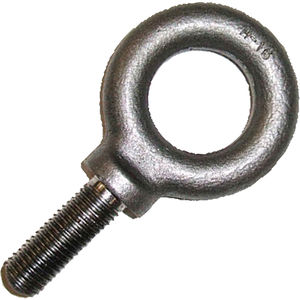 M24 x 63.5 DIN 581 Grade C15 Lifting Eye Bolt | Fastenal